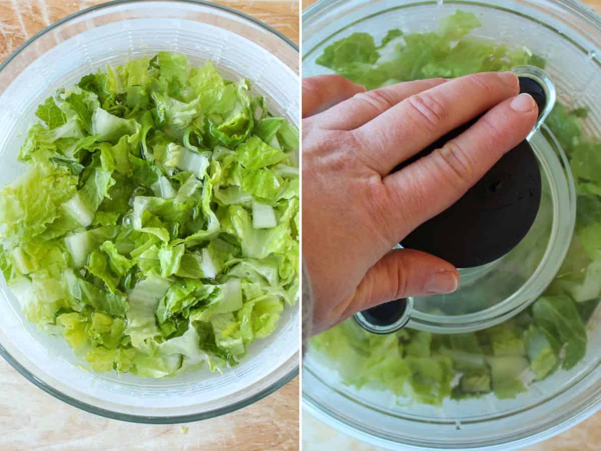Chopped romaine lettuce in a salad spinner being washed and spun to dry.