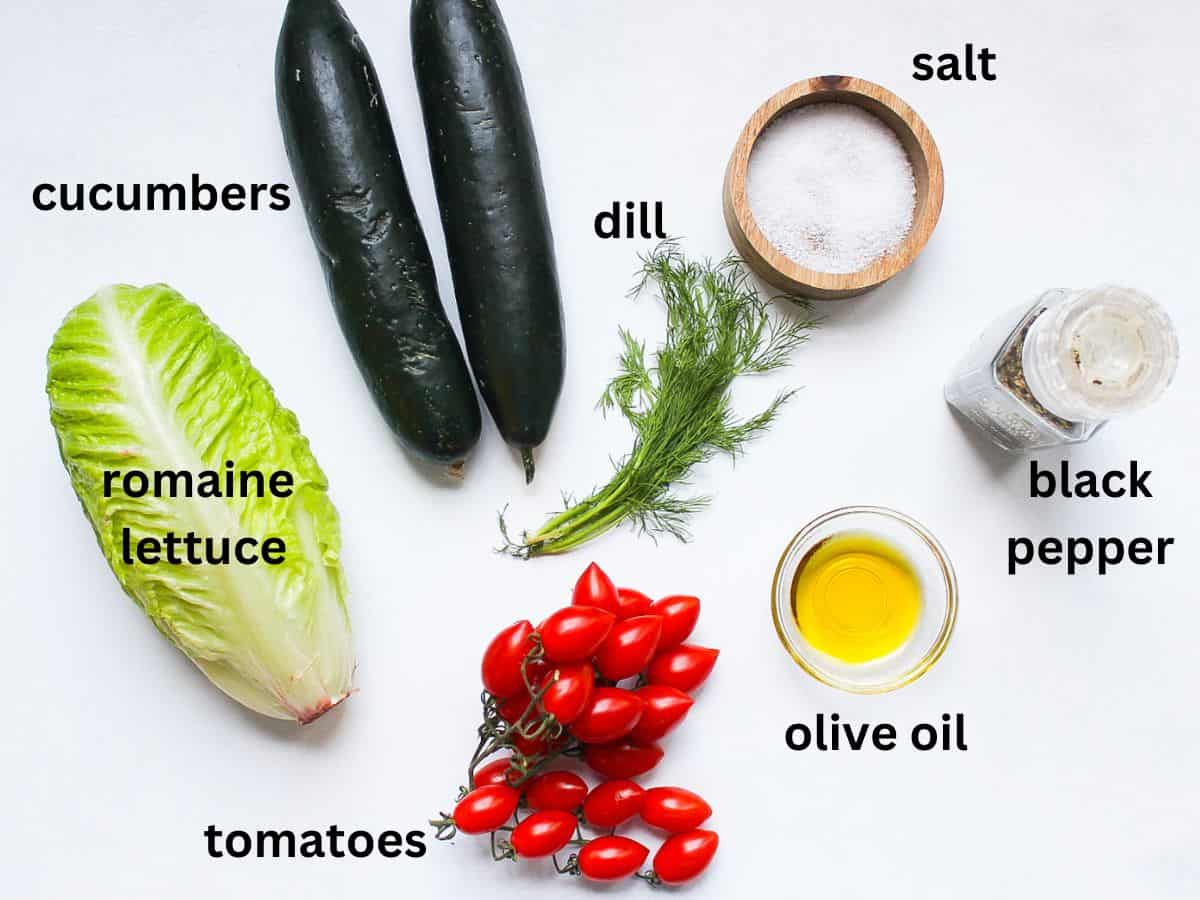 Salad recipe ingredients: two cucumbers, head of romaine lettuce, fresh dill, salt, black pepper. olive oil, cherry tomatoes on a vine.