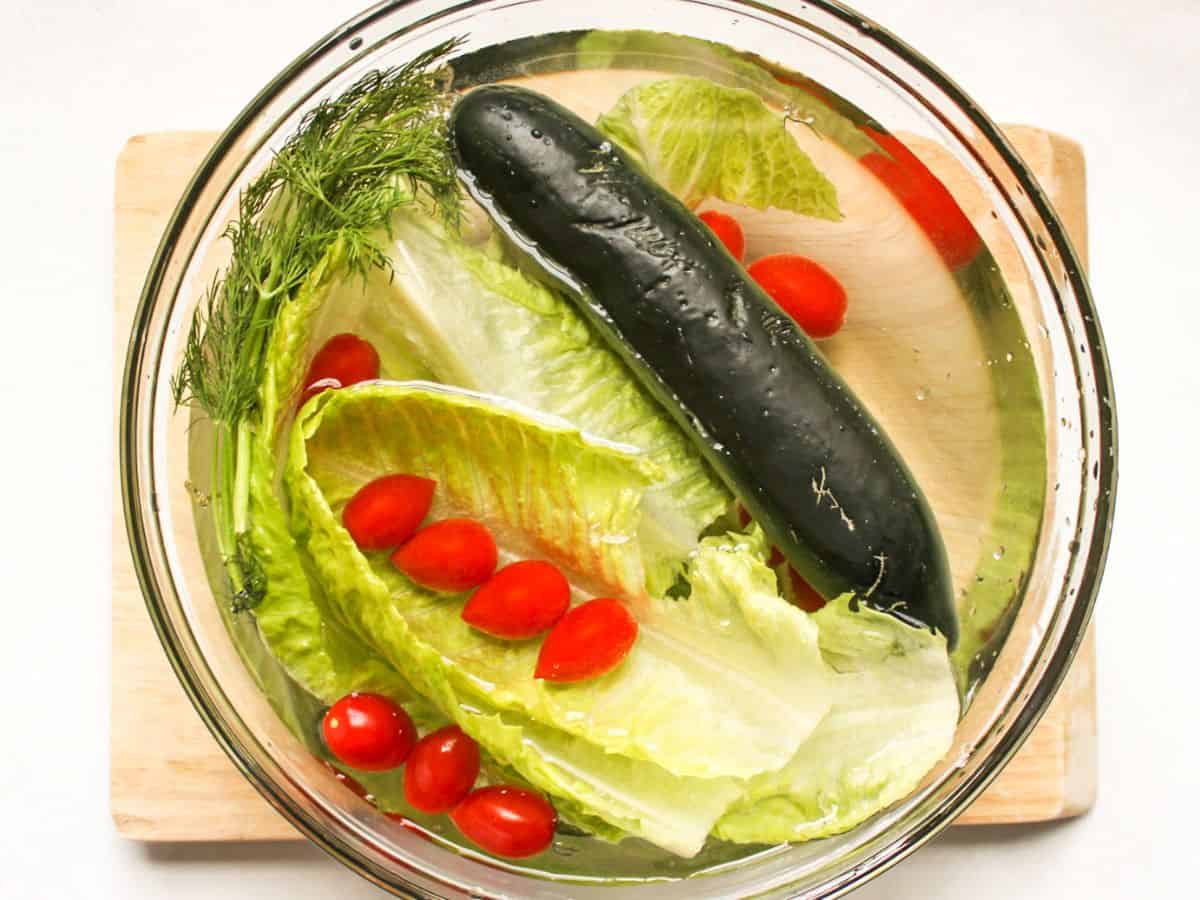 green romaine leafs, cherry red tomatoes, one dark green whole cucumber are in a large glass bowl filled with water.