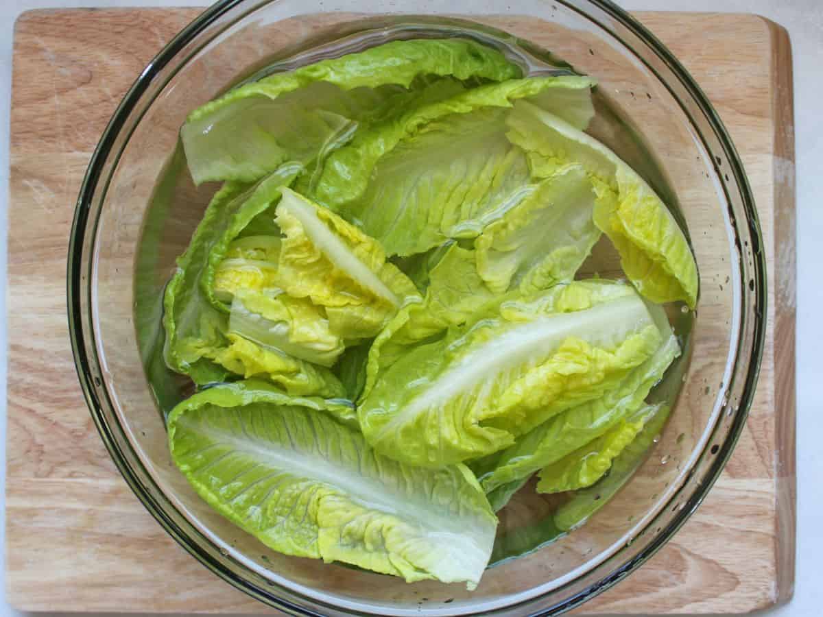 Whole green romaine leaves are in a large glass bowl filled with water.