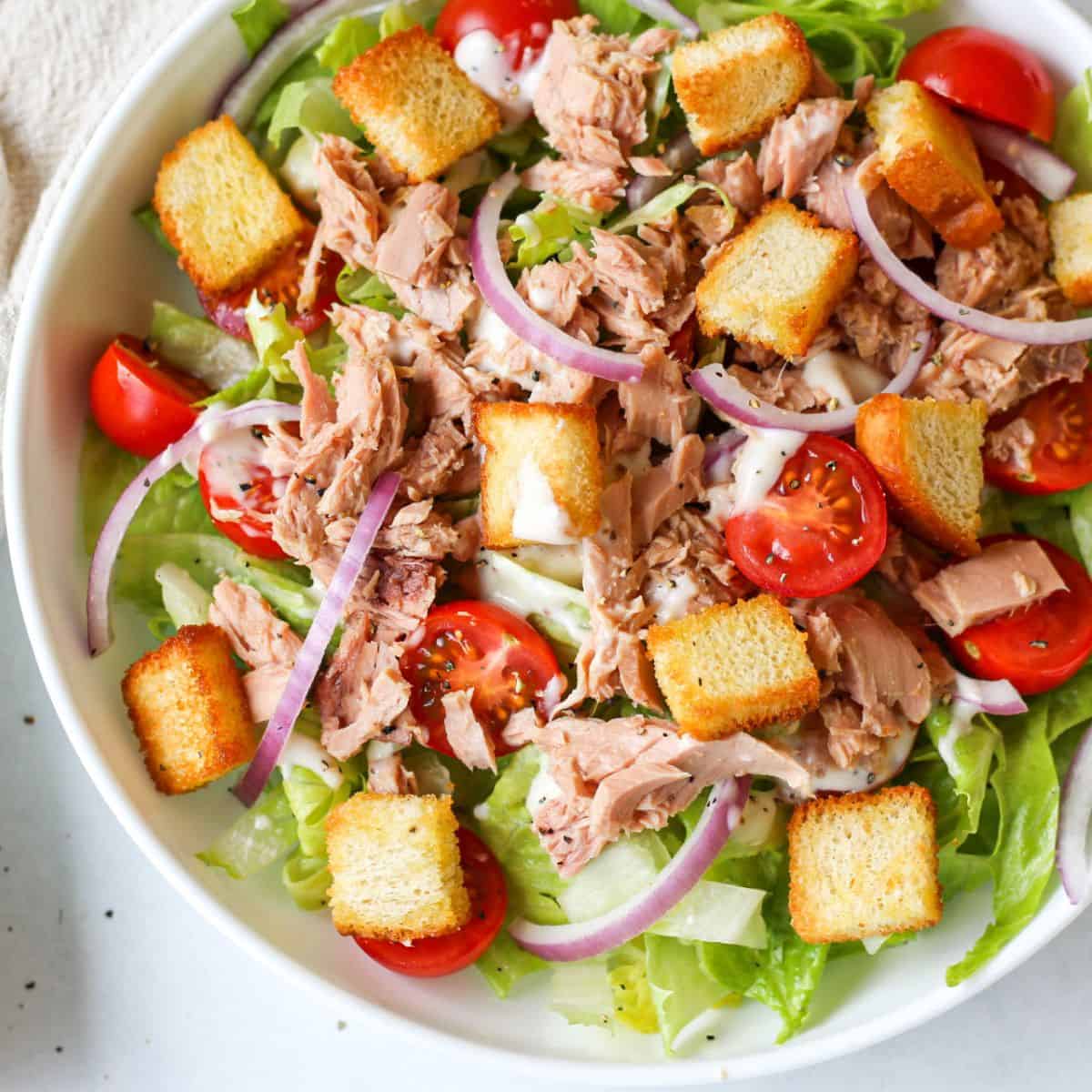 A white shallow dish with a salad made of chopped lettuce, halved cherry tomatoes, chunks of tune, sliced red onion and croutons.