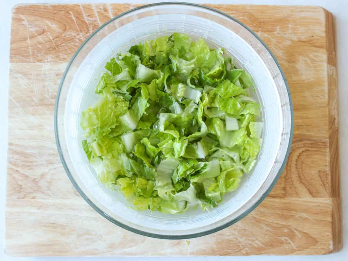 Salad spinner with chopped lettuce.
